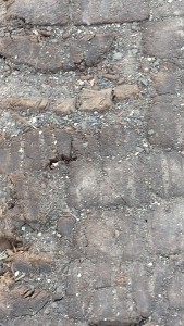 2015-10-07 14.54.57
