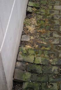http://forgottenchicago.com/pics/woodp/astoralleydetail2.jpg